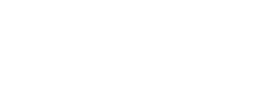 neilan logo