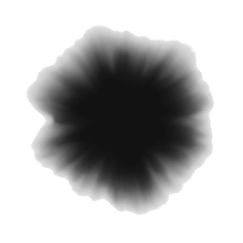 White image